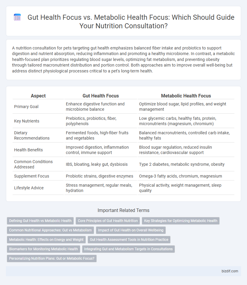 Gut Health Focus vs. Metabolic Health Focus: Which Should Guide Your Nutrition Consultation?