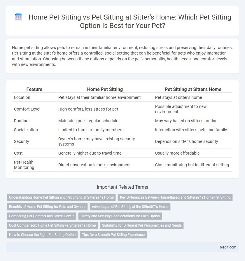 Home Pet Sitting vs Pet Sitting at Sitter's Home: Which Pet Sitting Option Is Best for Your Pet?