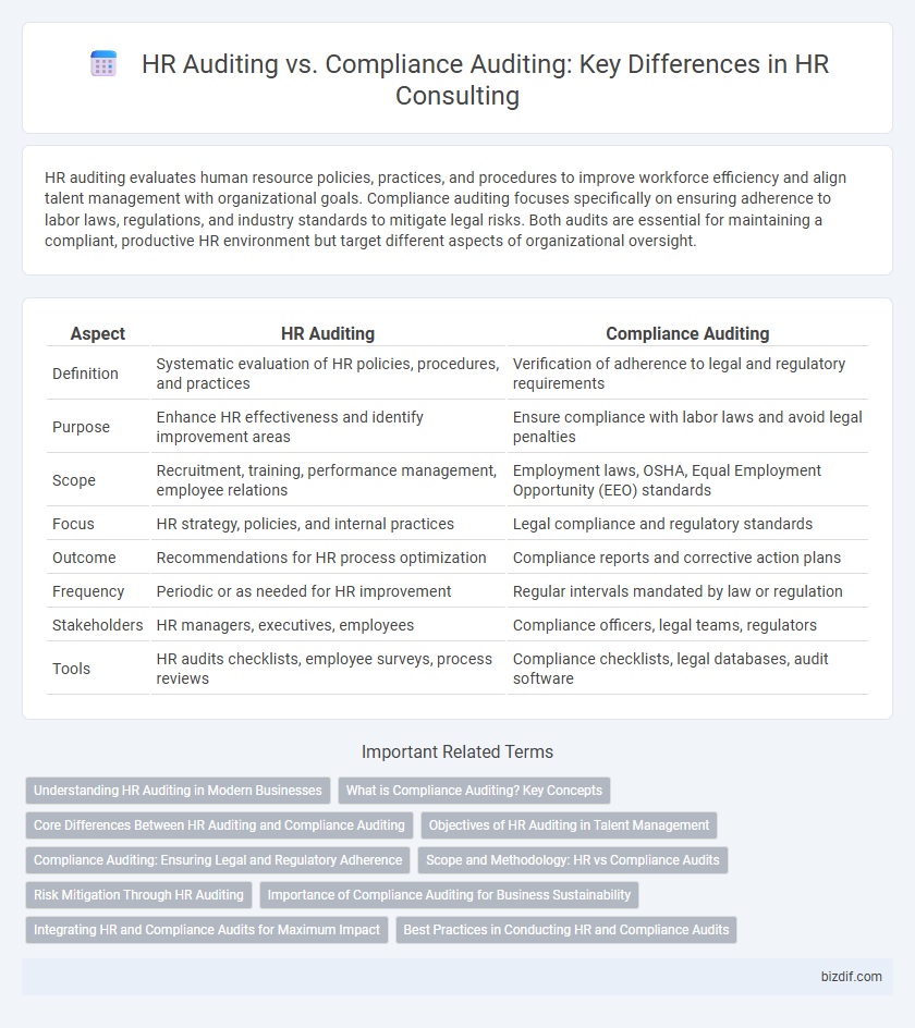 HR Auditing vs. Compliance Auditing: Key Differences in HR Consulting