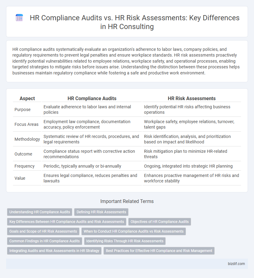 HR Compliance Audits vs. HR Risk Assessments: Key Differences in HR Consulting