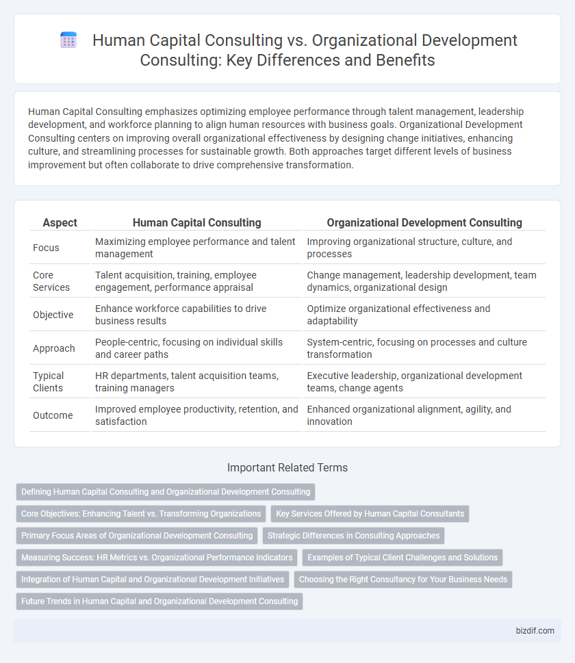 Human Capital Consulting vs. Organizational Development Consulting: Key Differences and Benefits