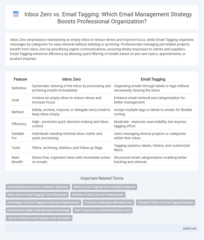 Inbox Zero vs. Email Tagging: Which Email Management Strategy Boosts Professional Organization?