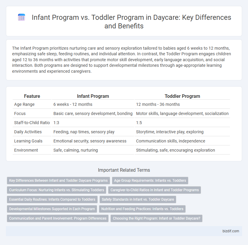 Infant Program vs. Toddler Program in Daycare: Key Differences and Benefits