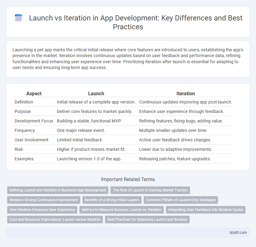 Launch vs Iteration in App Development: Key Differences and Best Practices