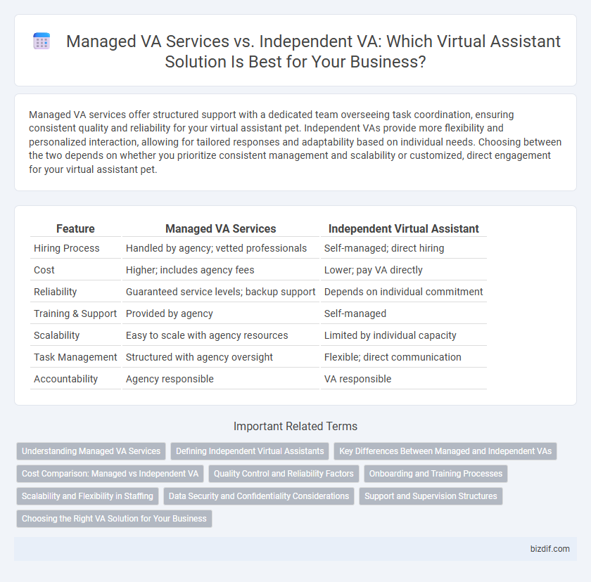 Managed VA Services vs. Independent VA: Which Virtual Assistant Solution Is Best for Your Business?