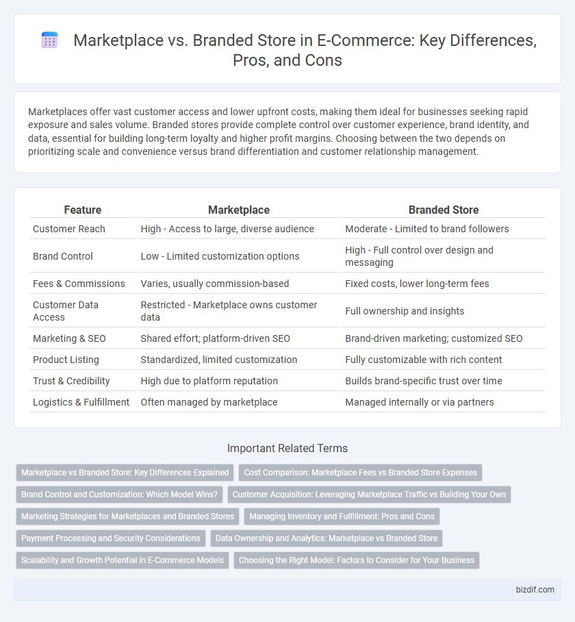 Marketplace vs. Branded Store in E-Commerce: Key Differences, Pros, and Cons