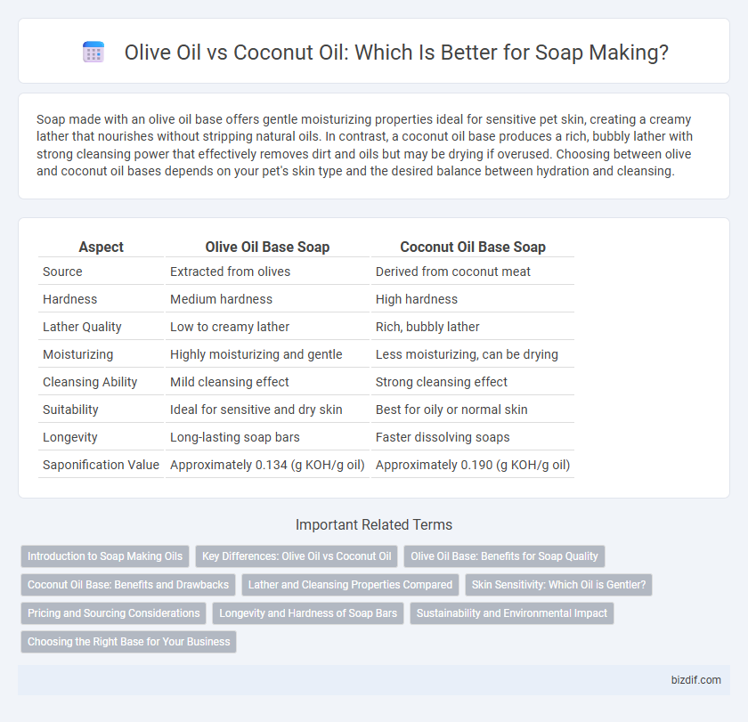 Olive Oil vs Coconut Oil: Which Is Better for Soap Making?