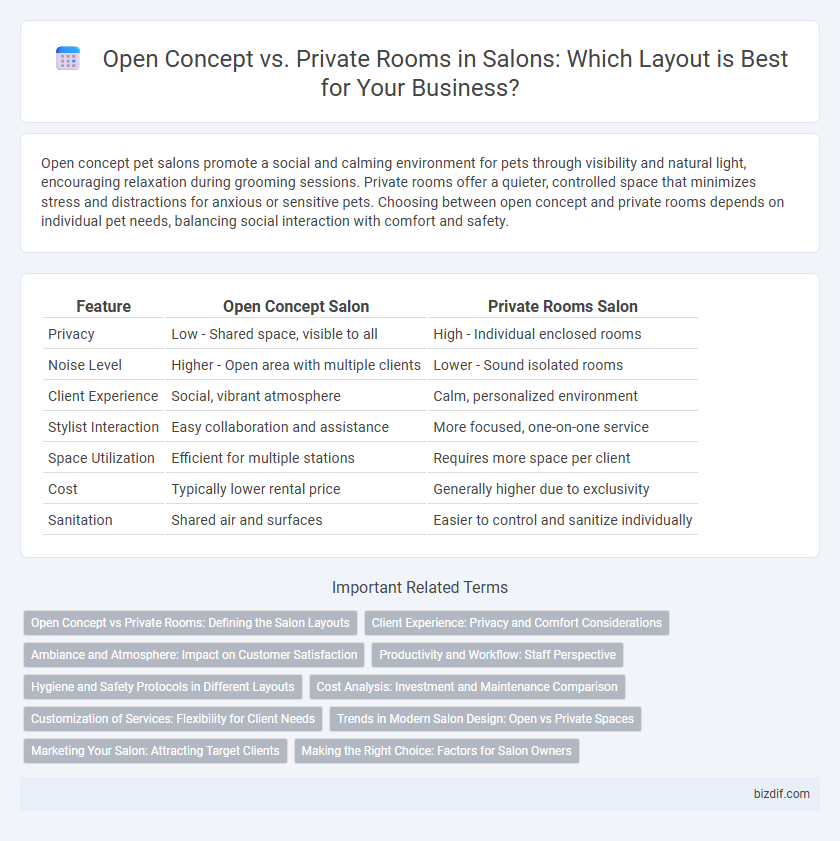Open Concept vs. Private Rooms in Salons: Which Layout is Best for Your Business?