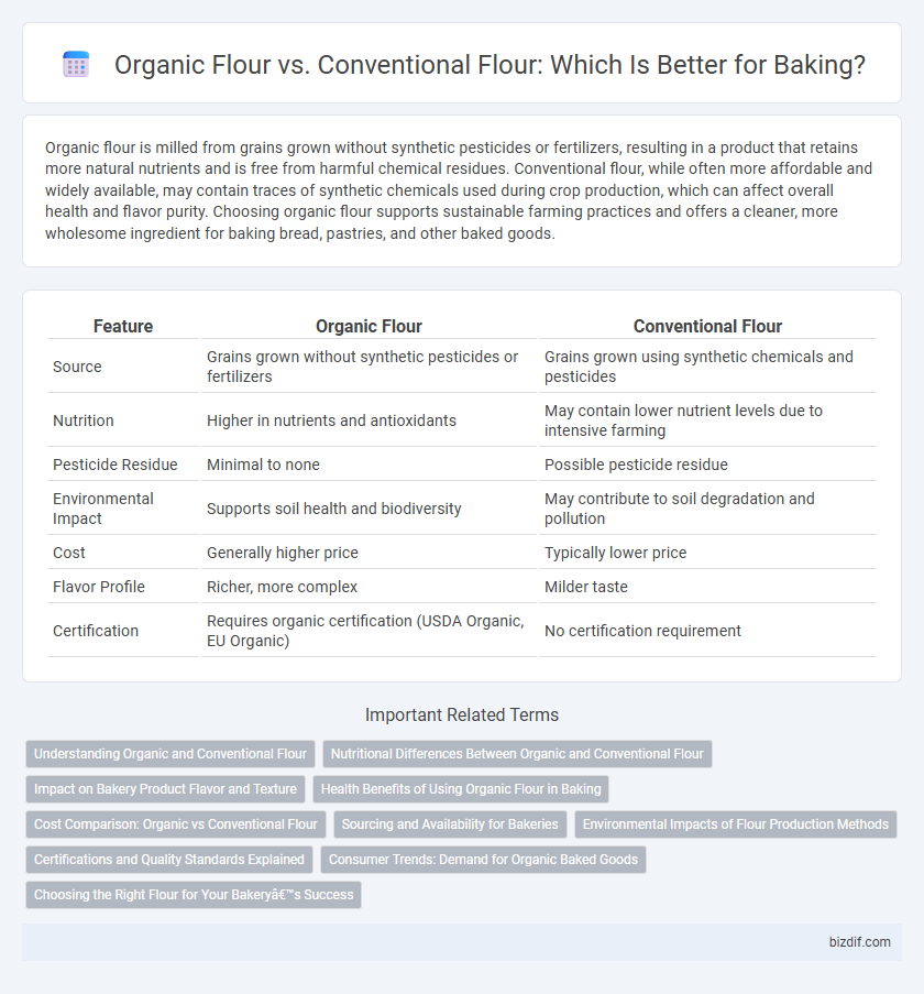 Organic Flour vs. Conventional Flour: Which Is Better for Baking?