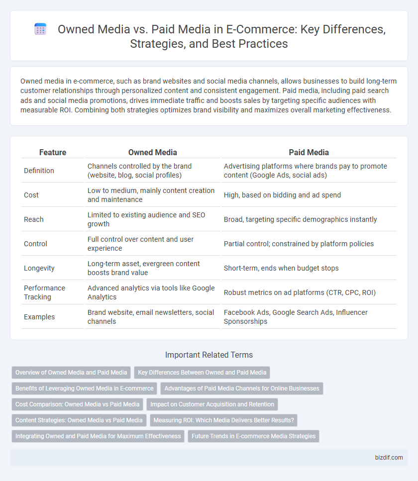 Owned Media vs. Paid Media in E-Commerce: Key Differences, Strategies, and Best Practices