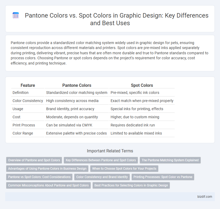 Pantone Colors vs. Spot Colors in Graphic Design: Key Differences and Best Uses