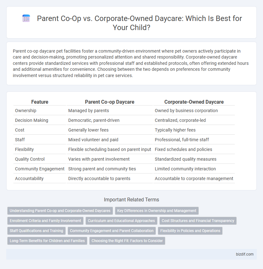 Parent Co-Op vs. Corporate-Owned Daycare: Which Is Best for Your Child?
