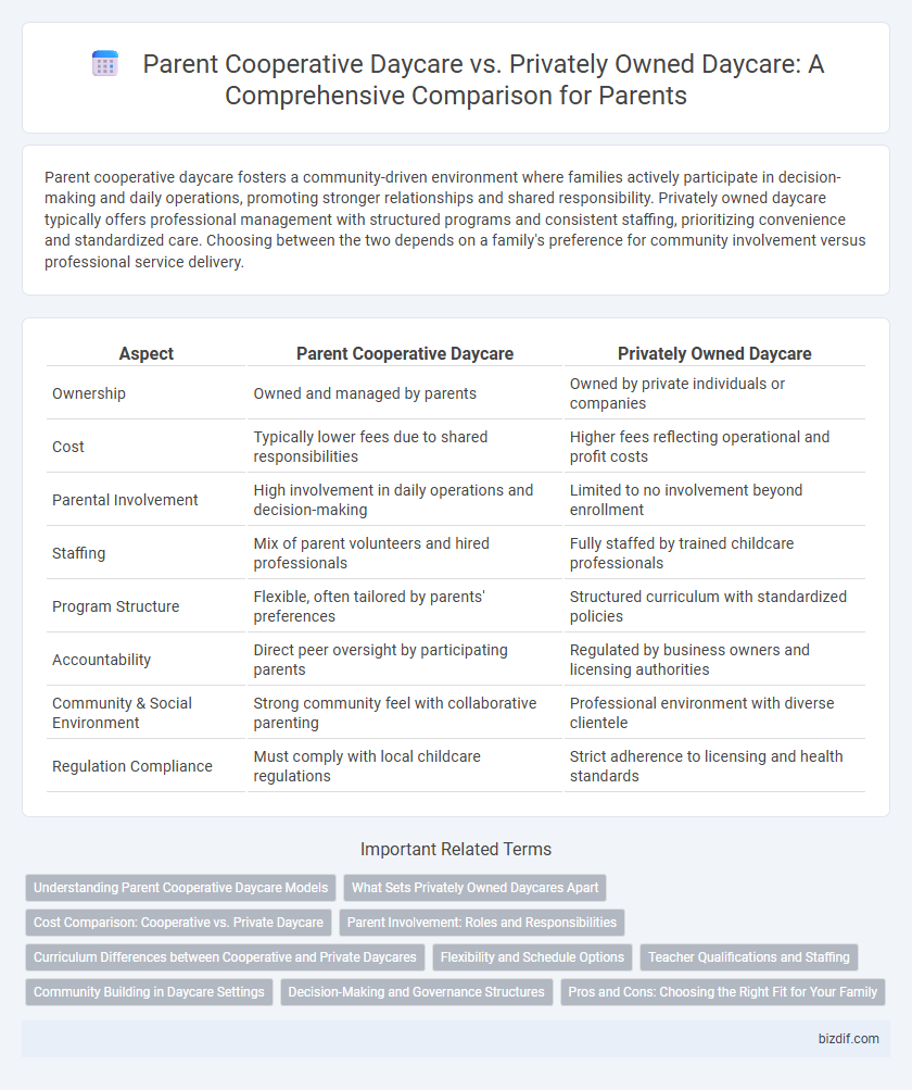 Parent Cooperative Daycare vs. Privately Owned Daycare: A Comprehensive Comparison for Parents