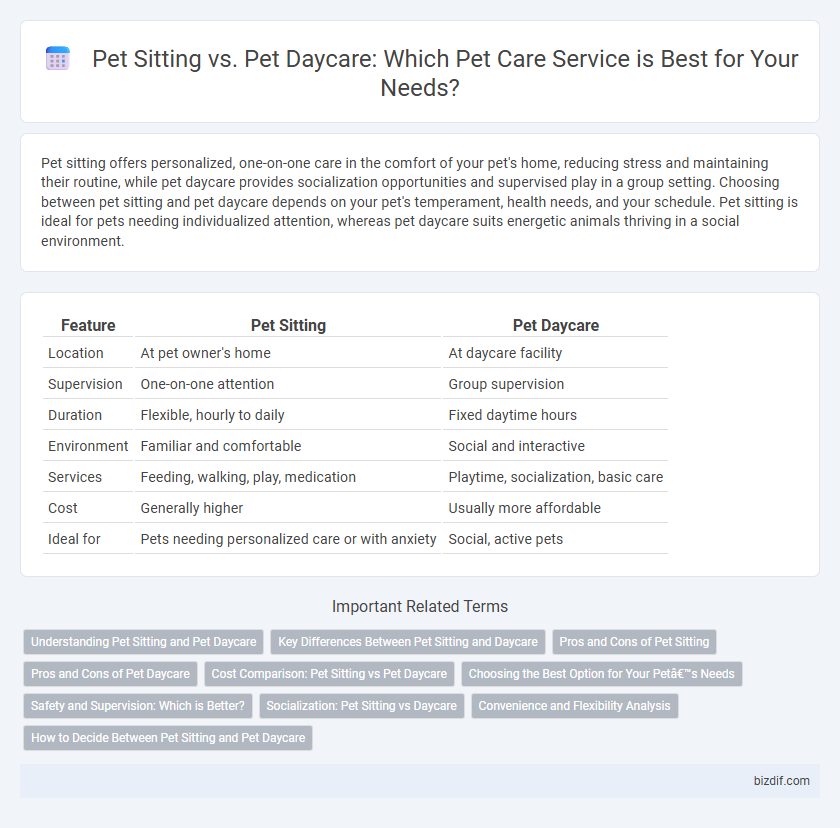 Pet Sitting vs. Pet Daycare: Which Pet Care Service is Best for Your Needs?