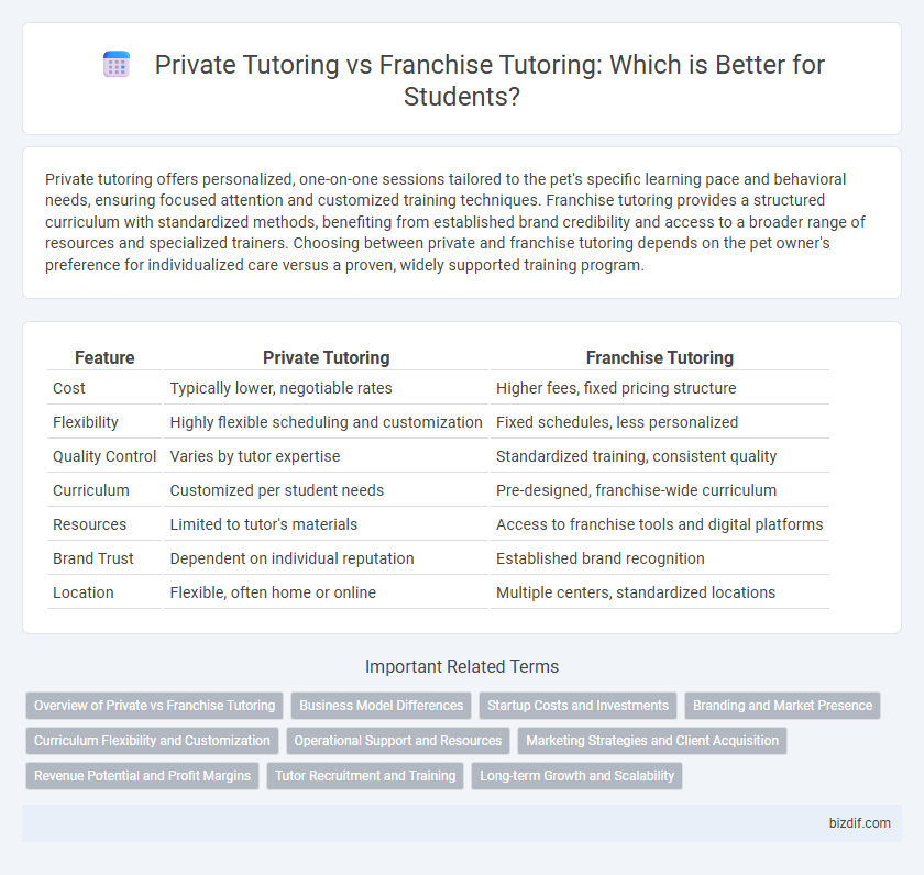 Private Tutoring vs Franchise Tutoring: Which is Better for Students?