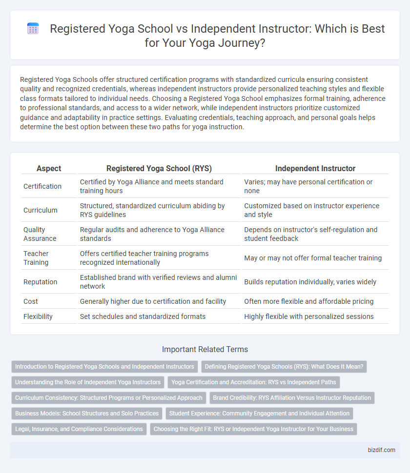 Registered Yoga School vs Independent Instructor: Which is Best for Your Yoga Journey?
