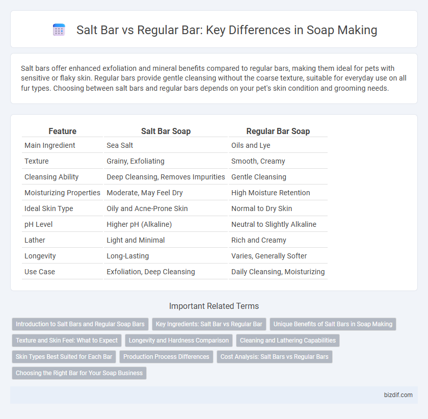 Salt Bar vs Regular Bar: Key Differences in Soap Making