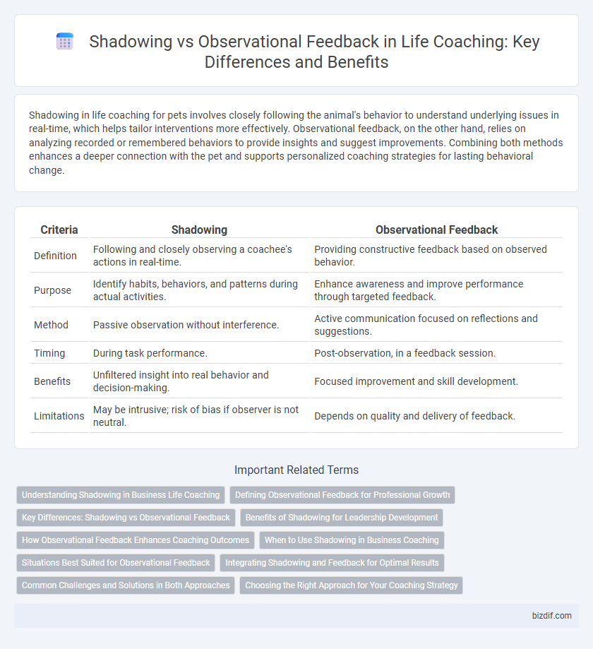 Shadowing vs Observational Feedback in Life Coaching: Key Differences and Benefits