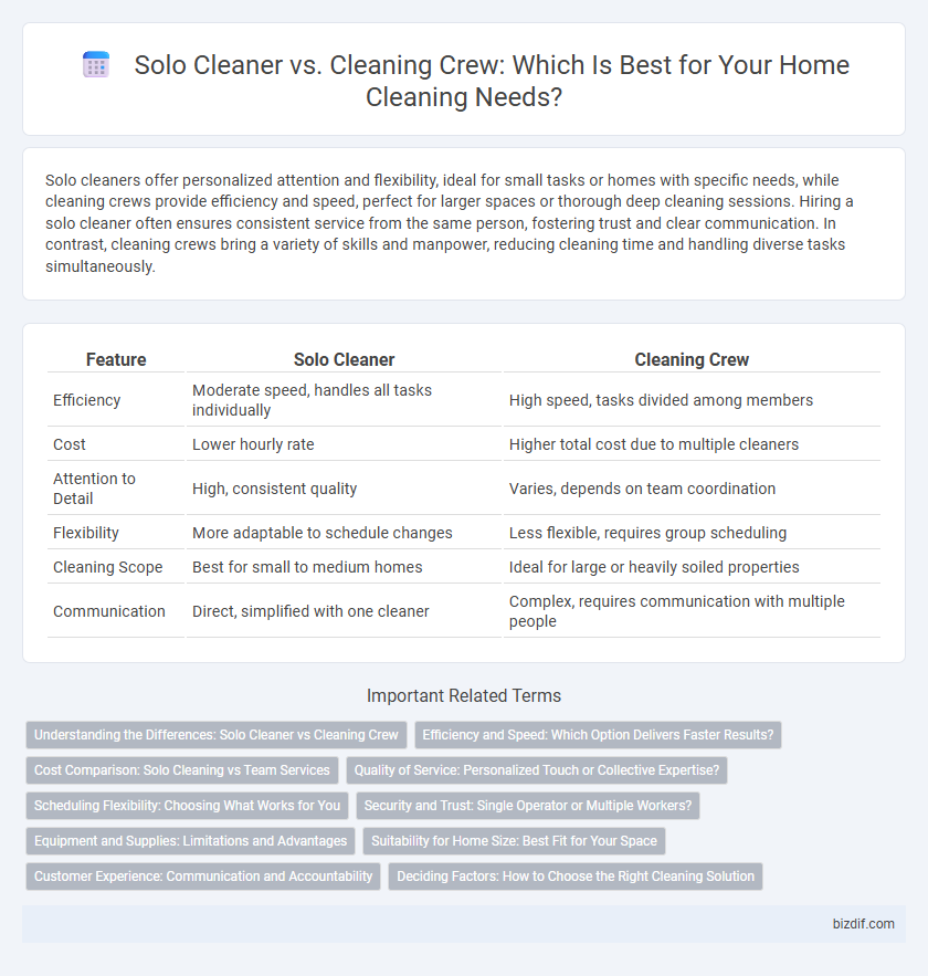 Solo Cleaner vs. Cleaning Crew: Which Is Best for Your Home Cleaning Needs?