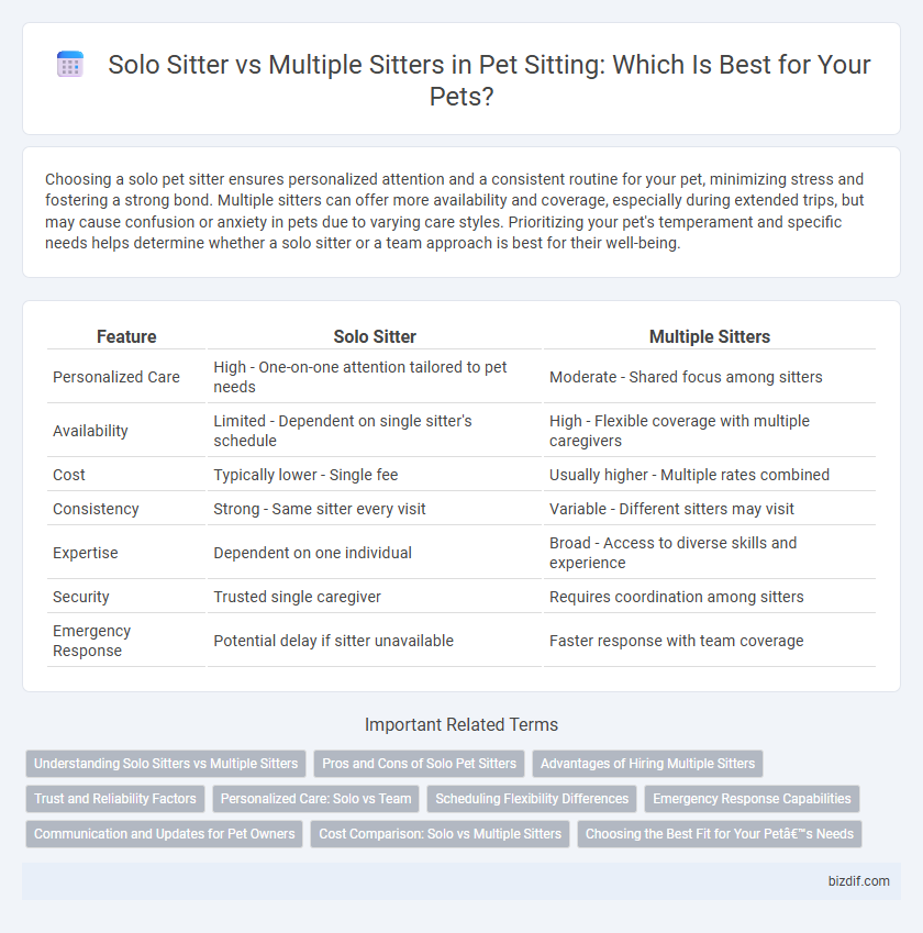 Solo Sitter vs Multiple Sitters in Pet Sitting: Which Is Best for Your Pets?