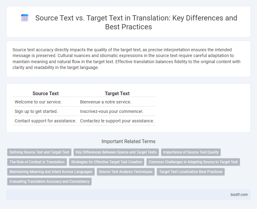Source Text vs. Target Text in Translation: Key Differences and Best Practices