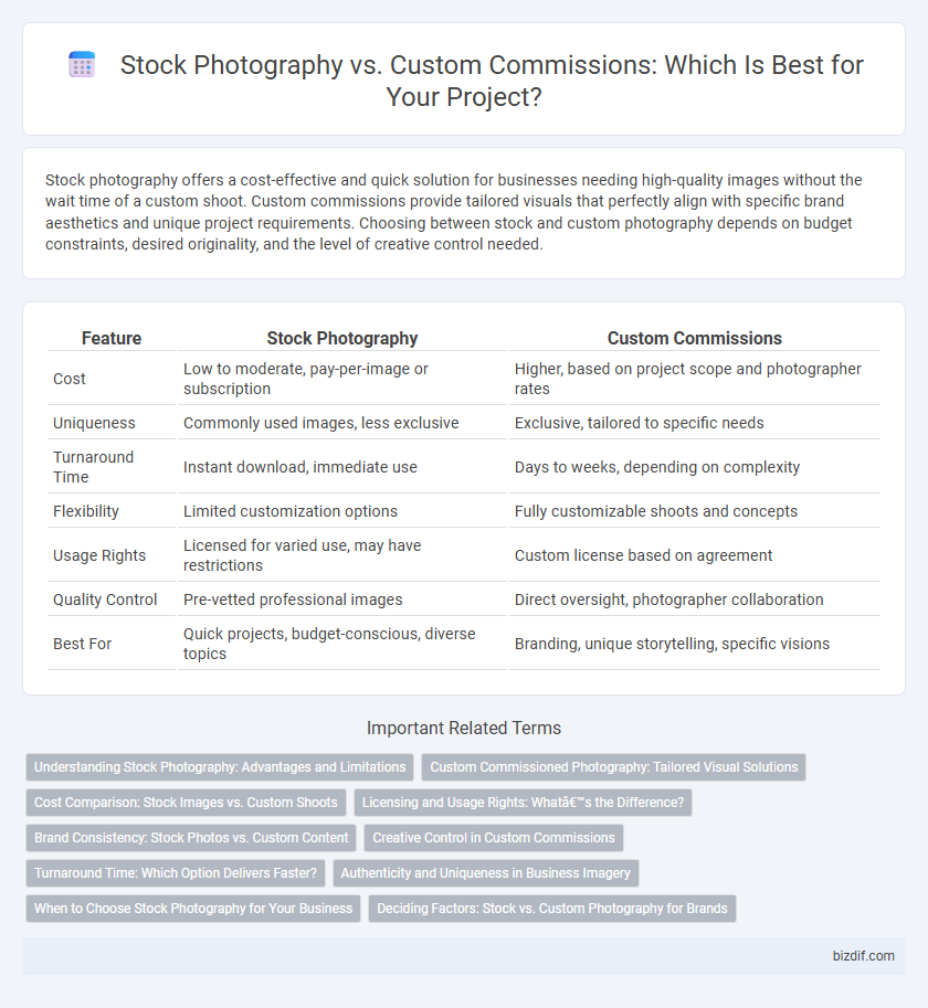 Stock Photography vs. Custom Commissions: Which Is Best for Your Project?