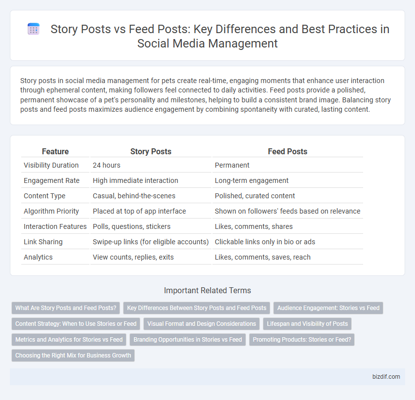 Story Posts vs Feed Posts: Key Differences and Best Practices in Social Media Management