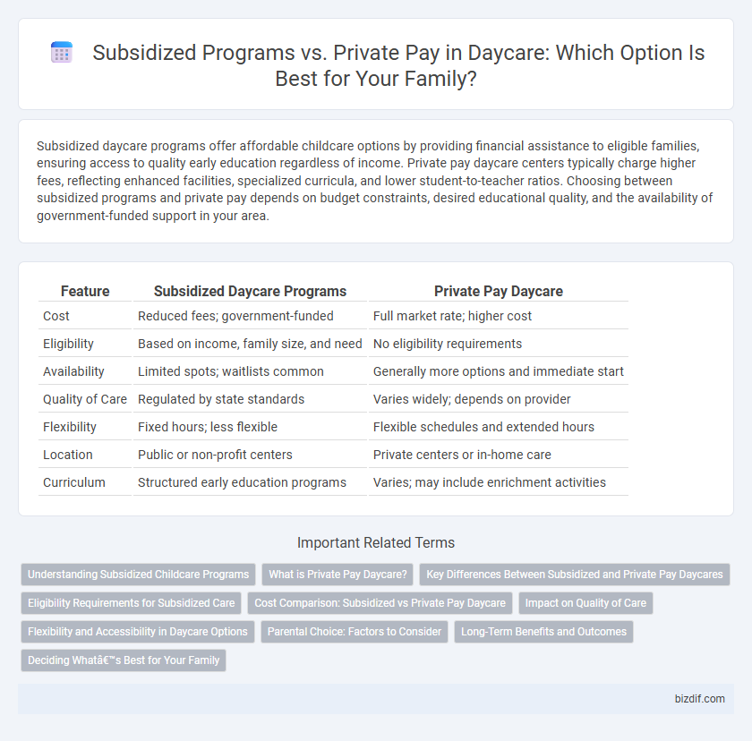 Subsidized Programs vs. Private Pay in Daycare: Which Option Is Best for Your Family?