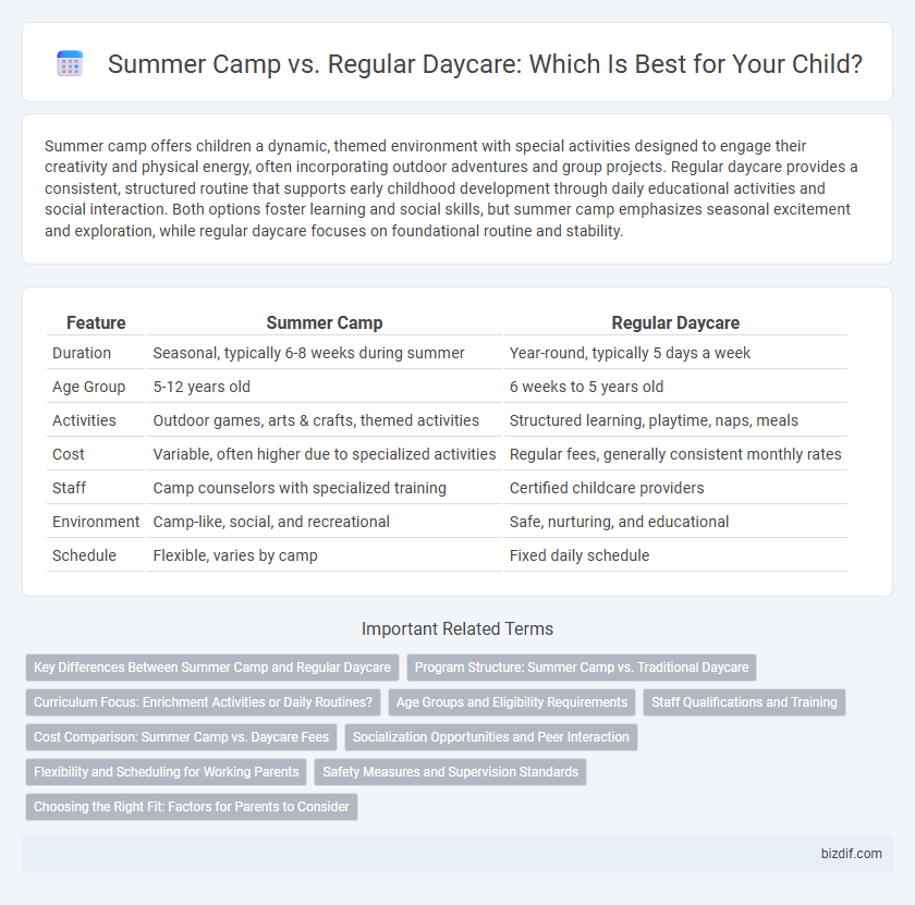 Summer Camp vs. Regular Daycare: Which Is Best for Your Child?