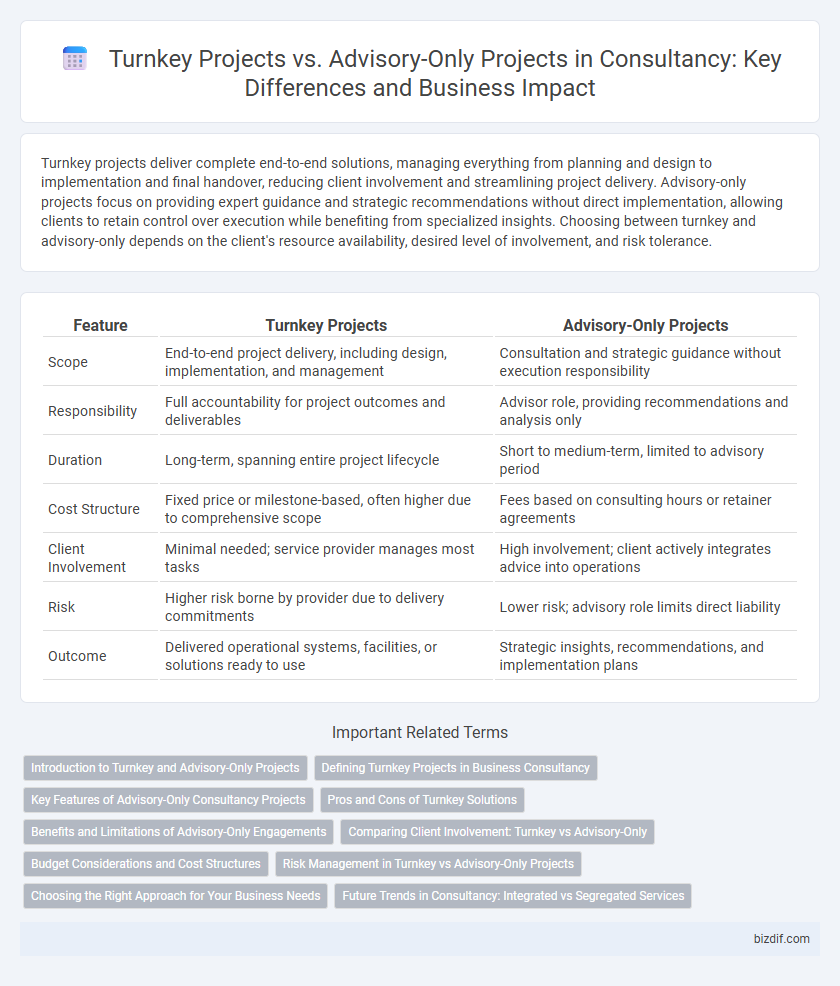 Turnkey Projects vs. Advisory-Only Projects in Consultancy: Key Differences and Business Impact