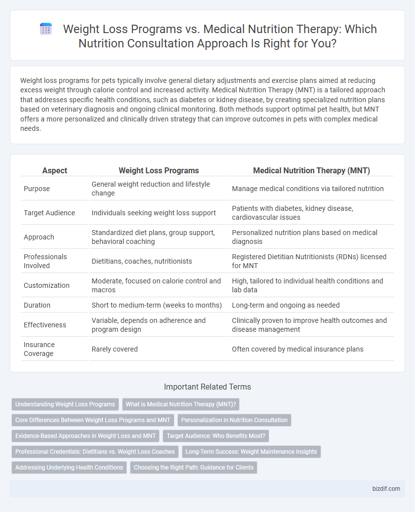 Weight Loss Programs vs. Medical Nutrition Therapy: Which Nutrition Consultation Approach Is Right for You?