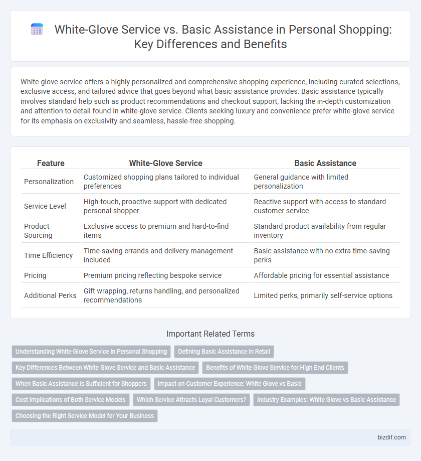 White-Glove Service vs. Basic Assistance in Personal Shopping: Key Differences and Benefits