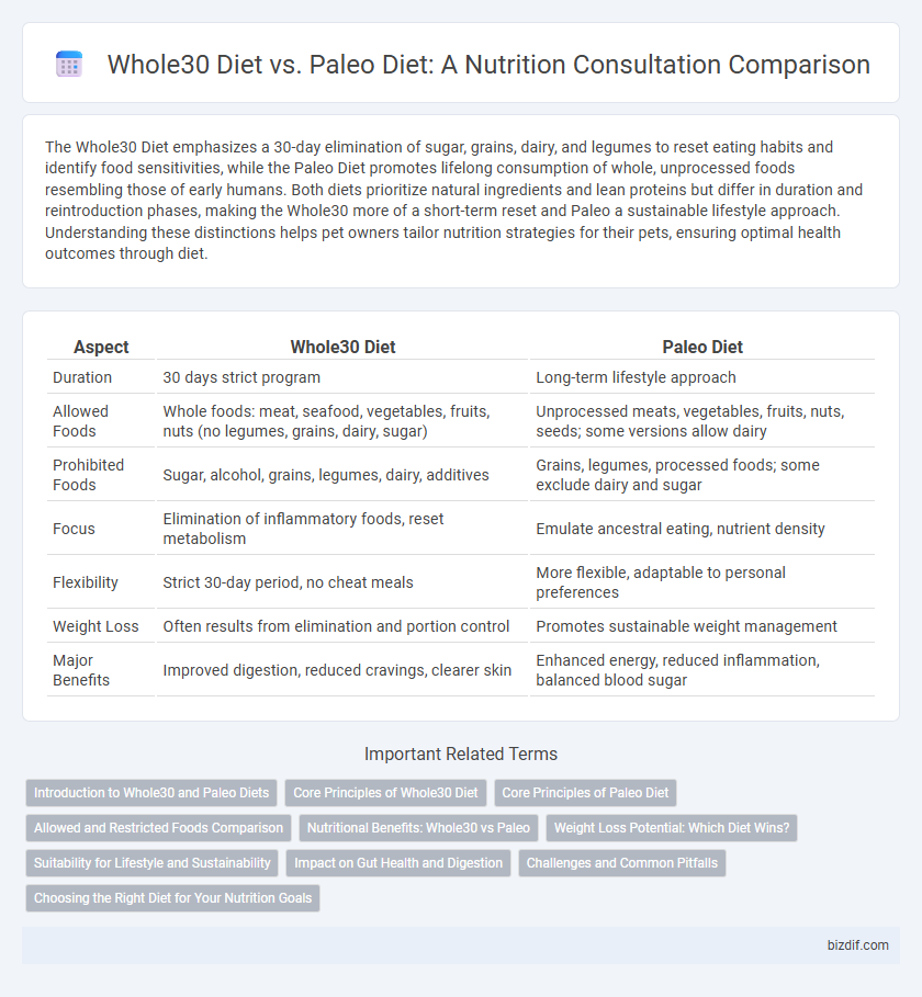 Whole30 Diet vs. Paleo Diet: A Nutrition Consultation Comparison