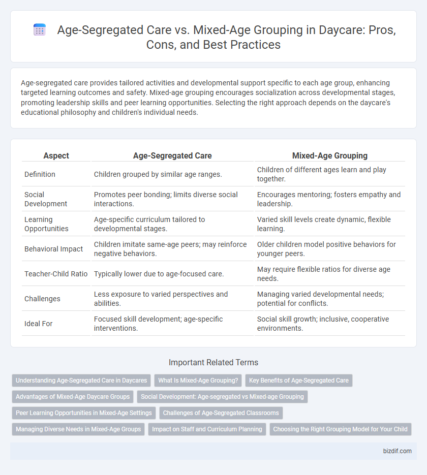 Age-Segregated Care vs. Mixed-Age Grouping in Daycare: Pros, Cons, and Best Practices