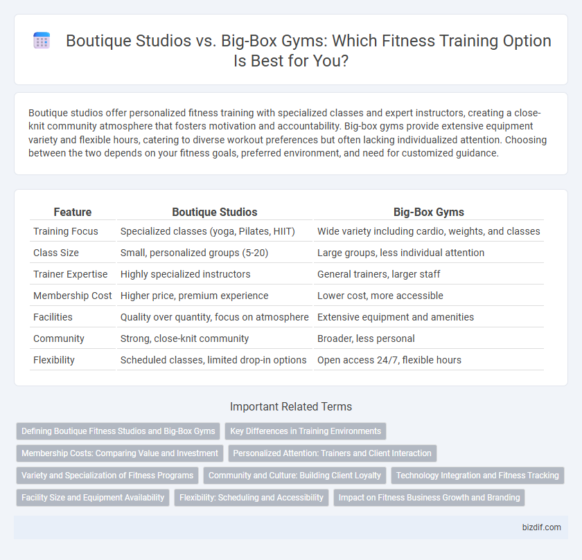 Boutique Studios vs. Big-Box Gyms: Which Fitness Training Option Is Best for You?