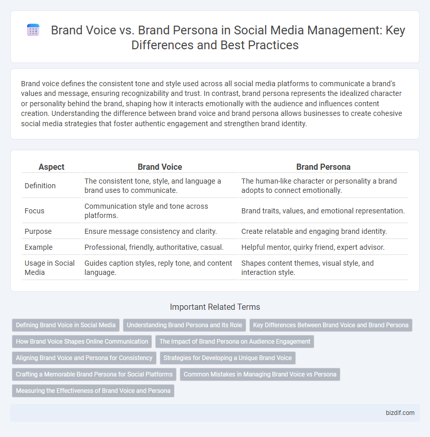 Brand Voice vs. Brand Persona in Social Media Management: Key Differences and Best Practices