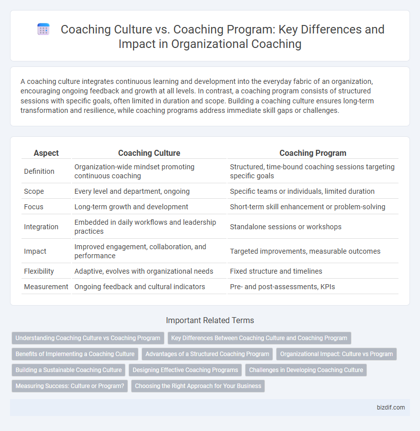 Coaching Culture vs. Coaching Program: Key Differences and Impact in Organizational Coaching