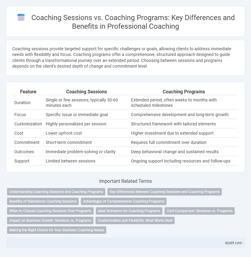 Coaching Sessions vs. Coaching Programs: Key Differences and Benefits in Professional Coaching