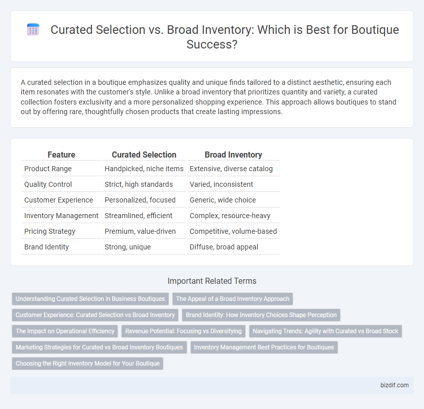 Curated Selection vs. Broad Inventory: Which is Best for Boutique Success?