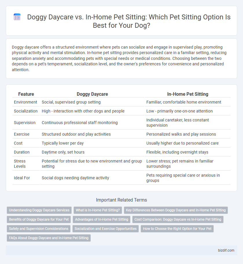 Doggy Daycare vs. In-Home Pet Sitting: Which Pet Sitting Option Is Best for Your Dog?