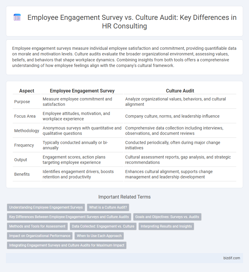 Employee Engagement Survey vs. Culture Audit: Key Differences in HR Consulting