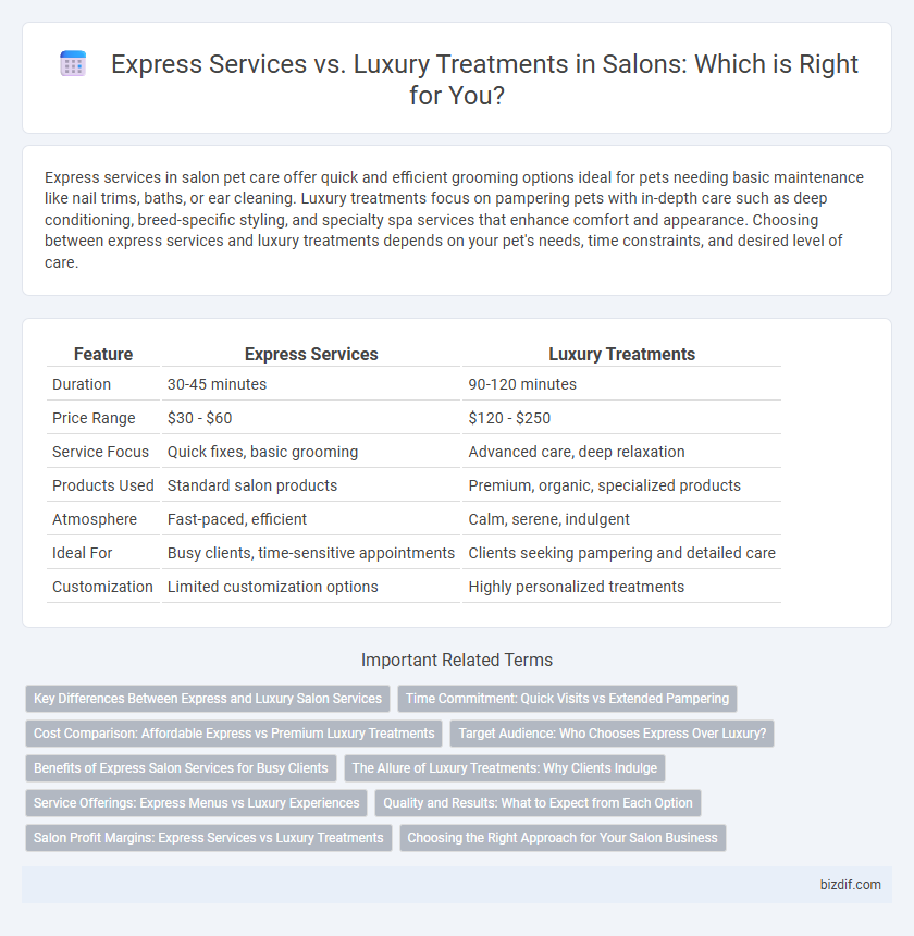 Express Services vs. Luxury Treatments in Salons: Which is Right for You?