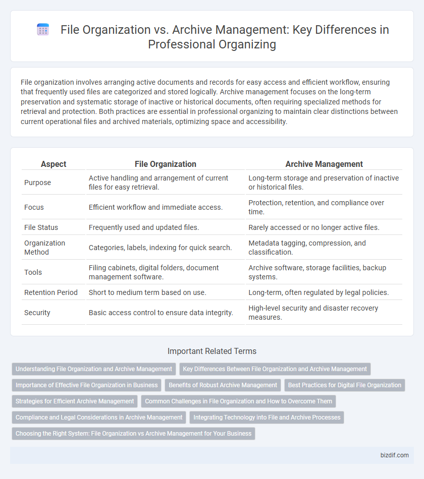File Organization vs. Archive Management: Key Differences in Professional Organizing