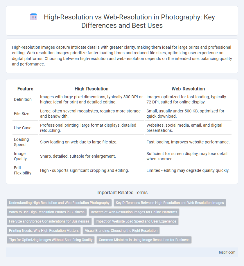 High-Resolution vs Web-Resolution in Photography: Key Differences and Best Uses