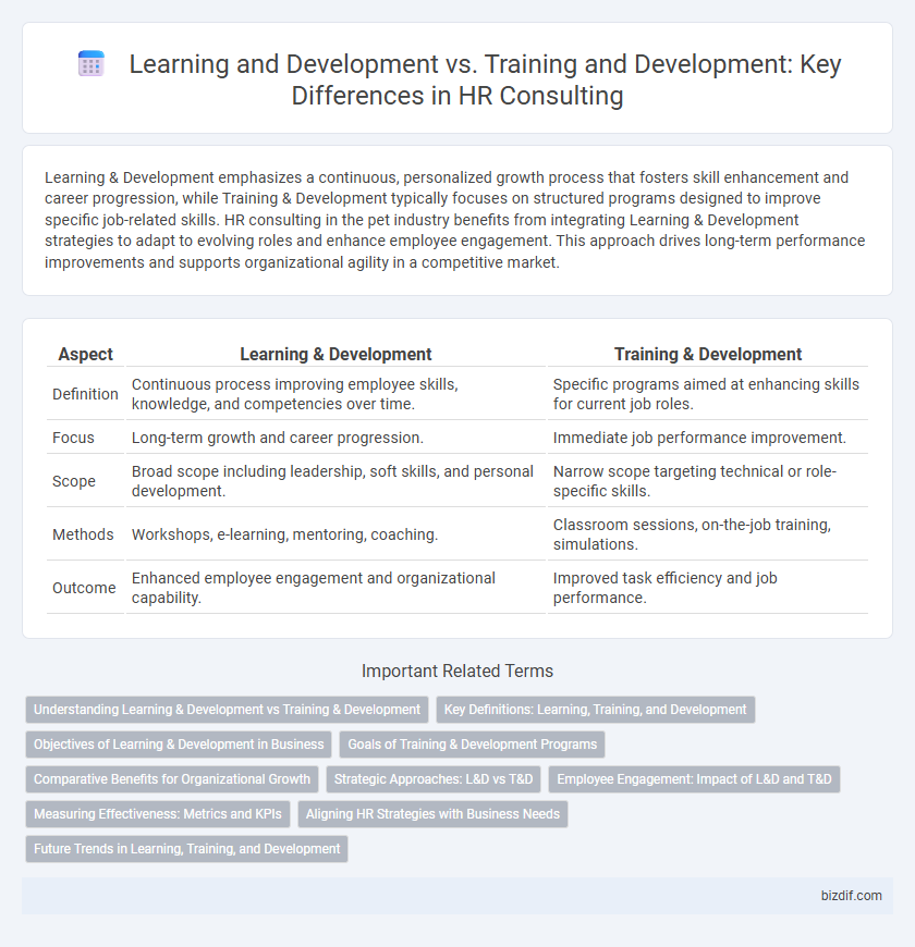 Learning and Development vs. Training and Development: Key Differences in HR Consulting