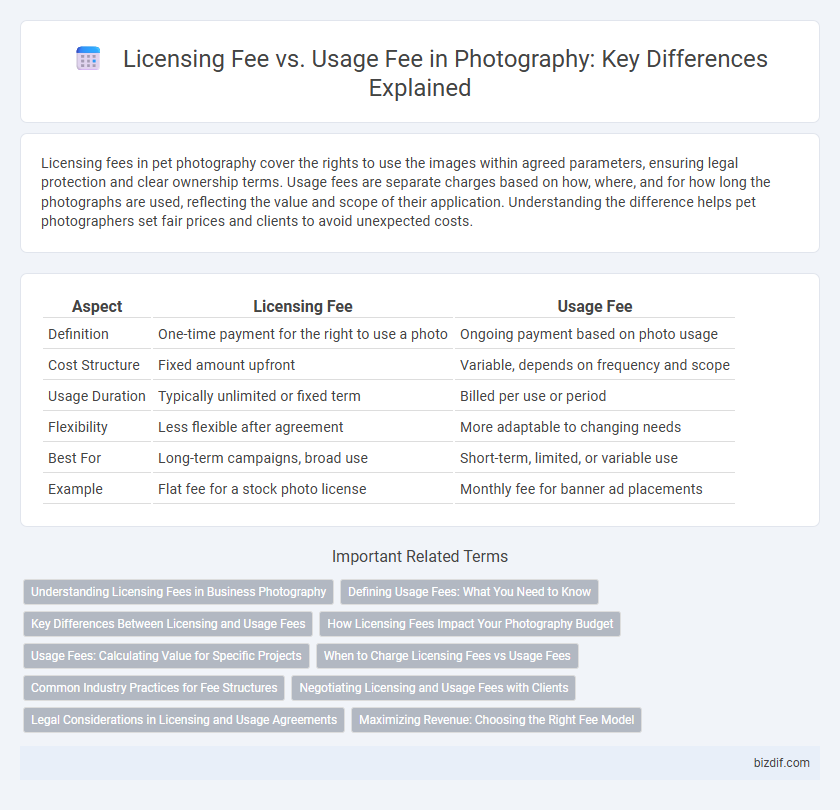 Licensing Fee vs. Usage Fee in Photography: Key Differences Explained