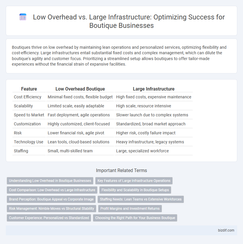 Low Overhead vs. Large Infrastructure: Optimizing Success for Boutique Businesses
