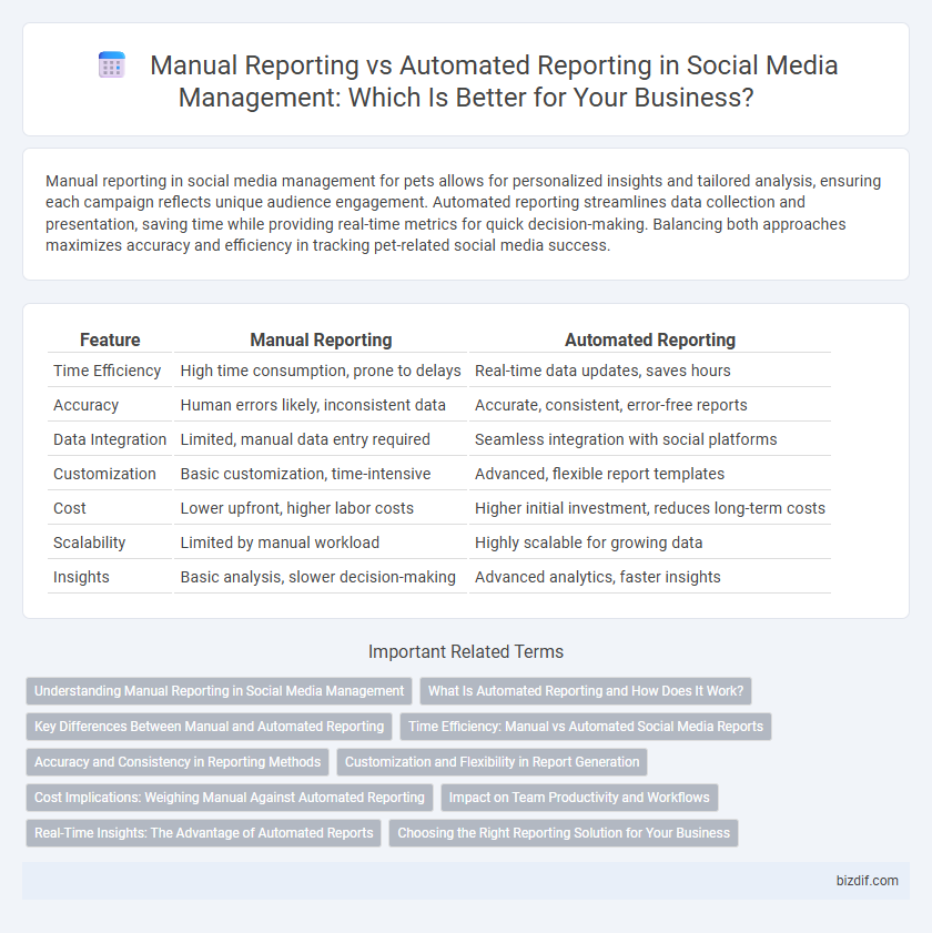 Manual Reporting vs Automated Reporting in Social Media Management: Which Is Better for Your Business?