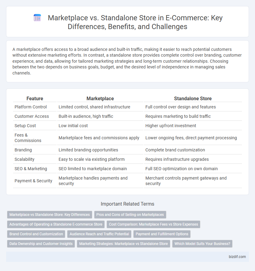 Marketplace vs. Standalone Store in E-Commerce: Key Differences, Benefits, and Challenges