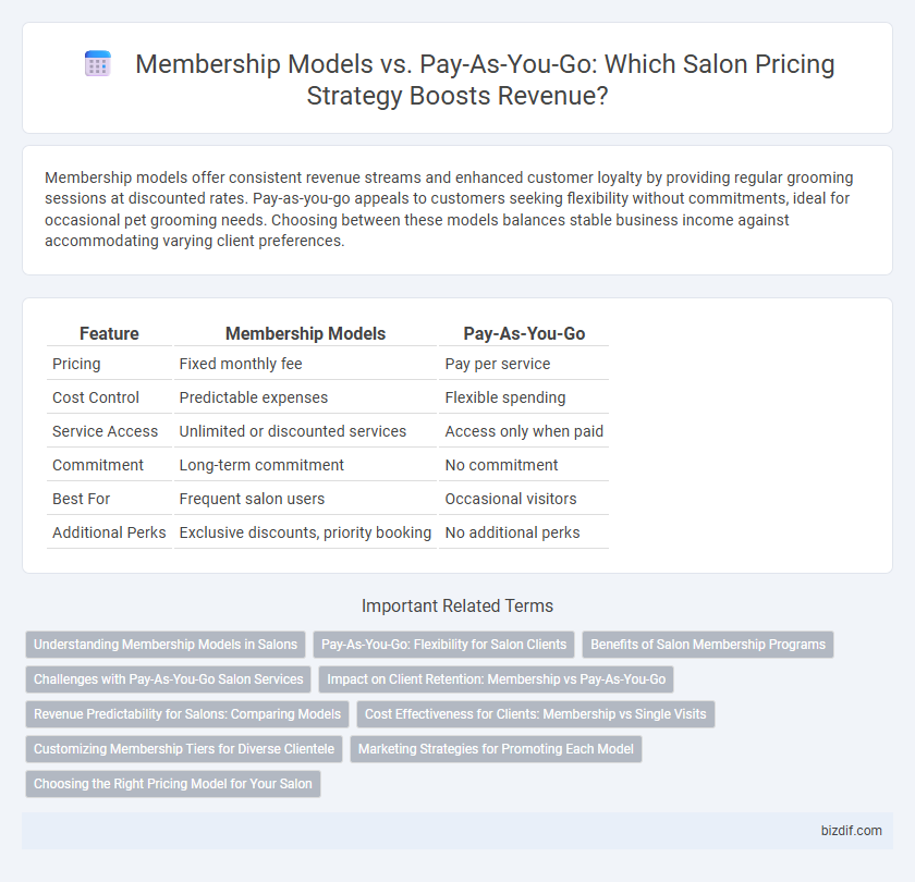 Membership Models vs. Pay-As-You-Go: Which Salon Pricing Strategy Boosts Revenue?